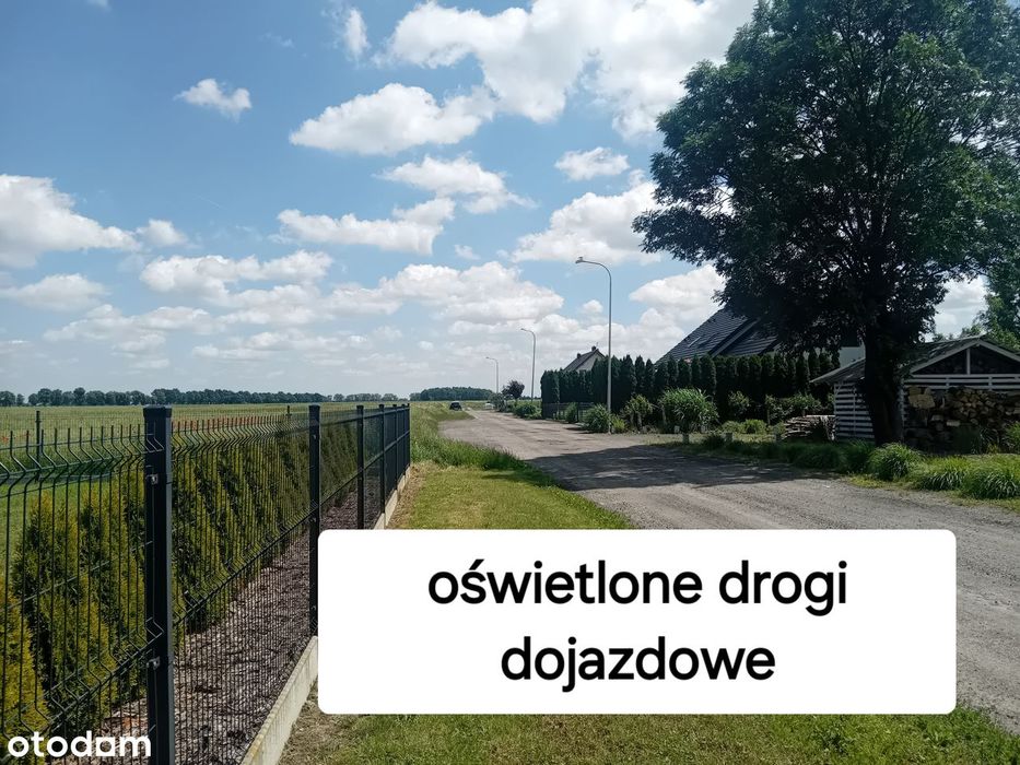 Działka budowlana pod Oleśnicą - Widok 4