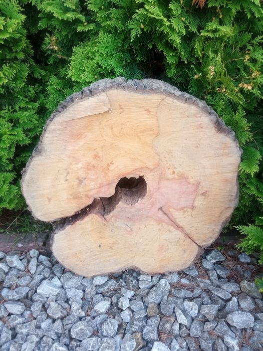 Plaster drewna grusza 80x80