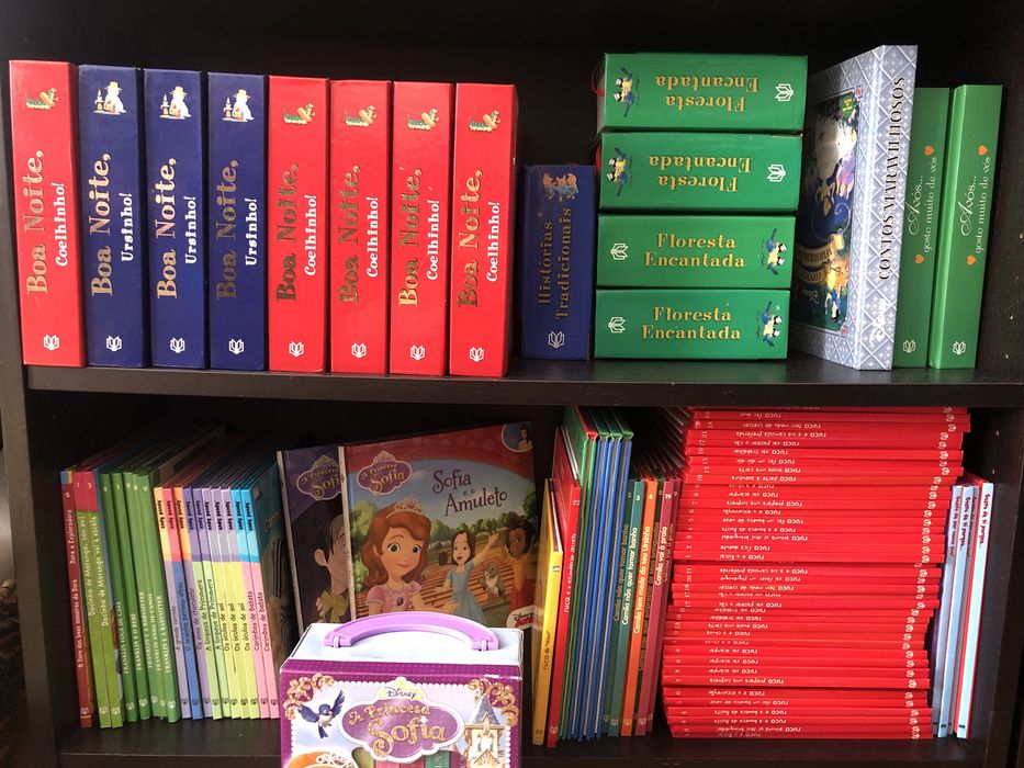Livros infantis (princesa Sofia, ursinho…)