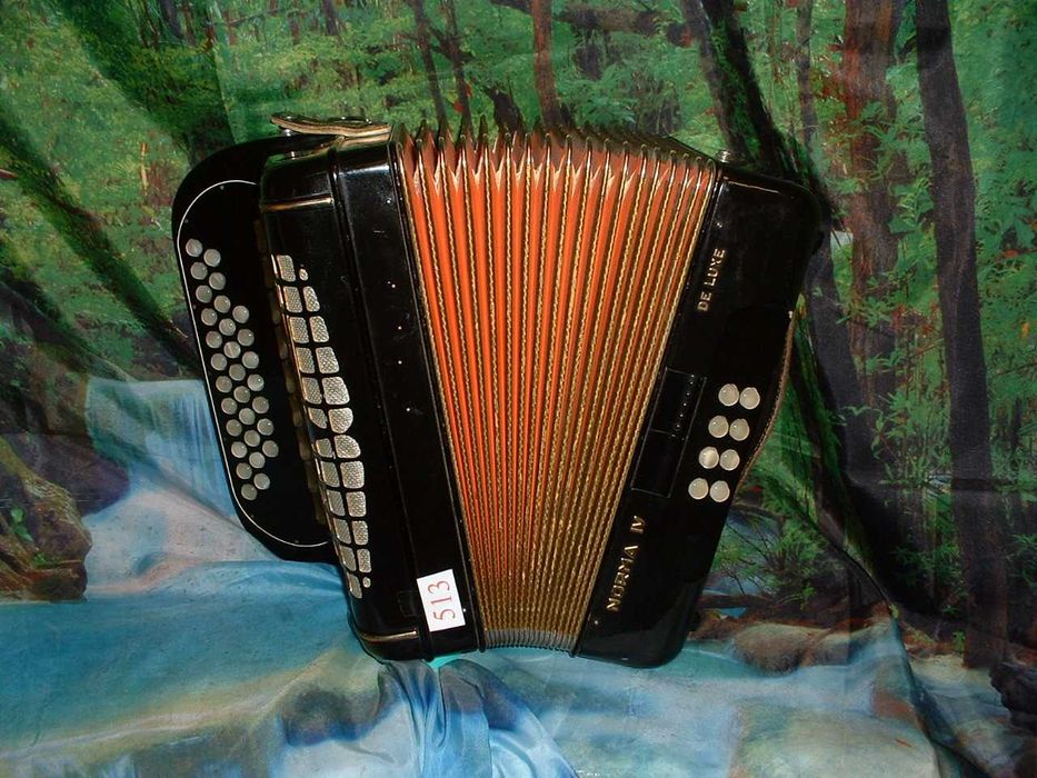 Promoção de Acordeões de concertinas