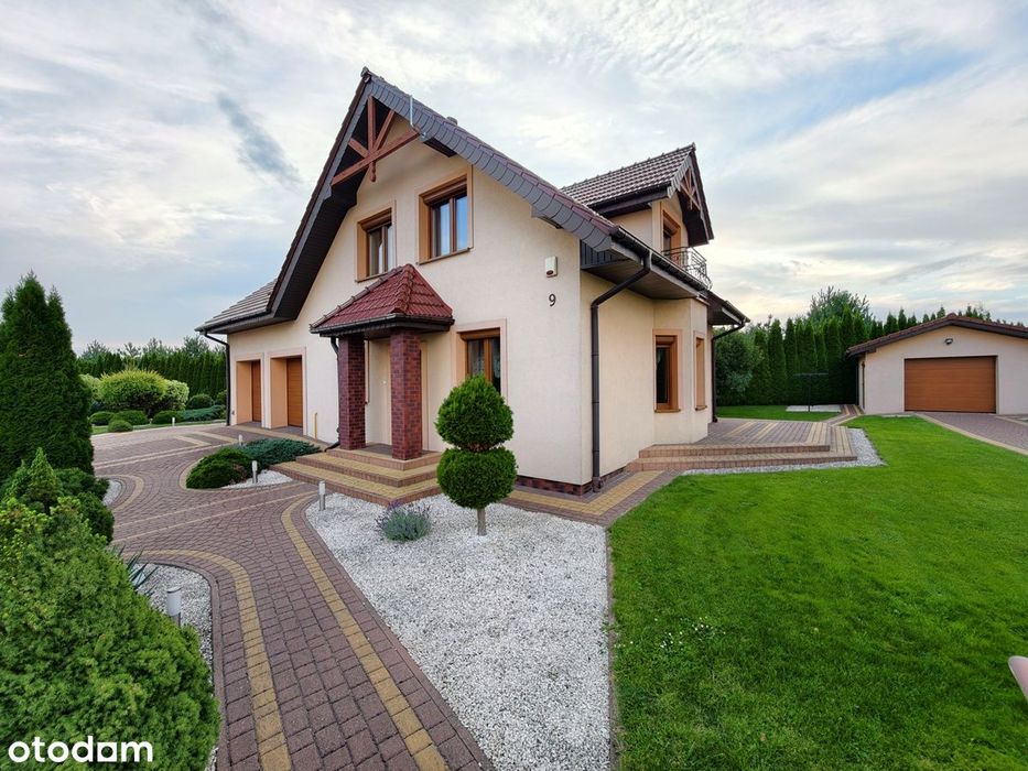 Zdjęcie 3