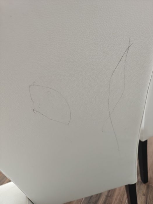 Vendo cadeiras sala