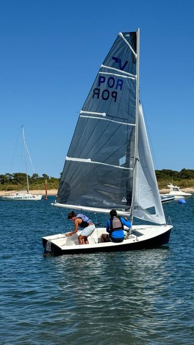 VAURIEN ROGA 36401