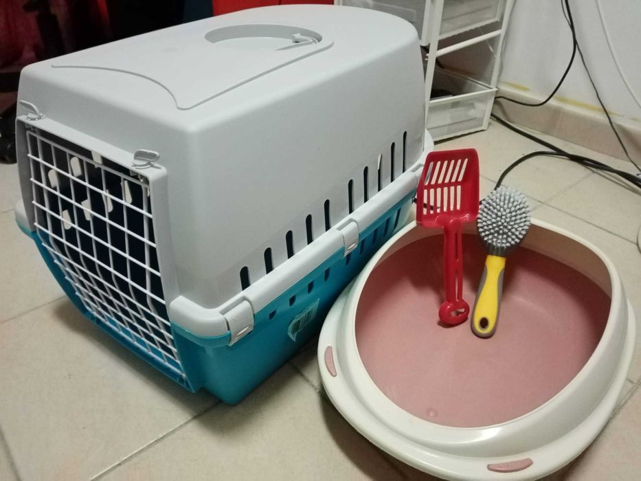 Conjunto caixa de transporte, caixa de areia, pá para areia e escova