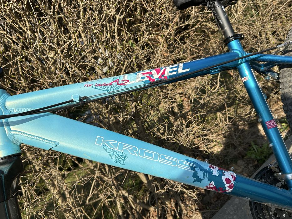 Rower Kross Level A2 ladies