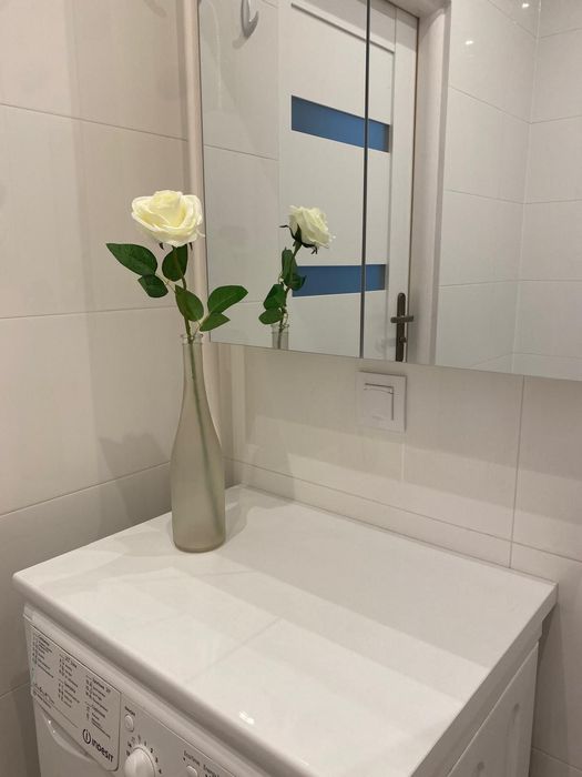 Piękne dwupokojowe mieszkanie po remoncie (48 m²) z widokiem na zieleń i Zalew. - Widok 6