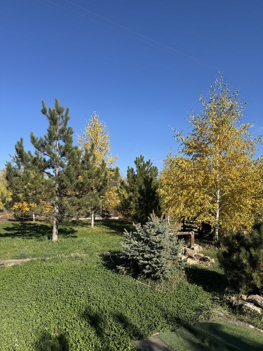 Готовий бізнес: 3 ділянки з житловим будинком