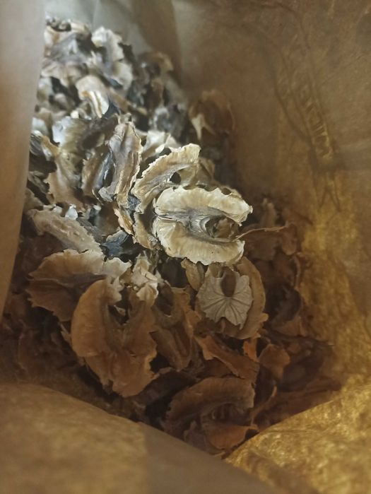 Перетинки з грецького горіха