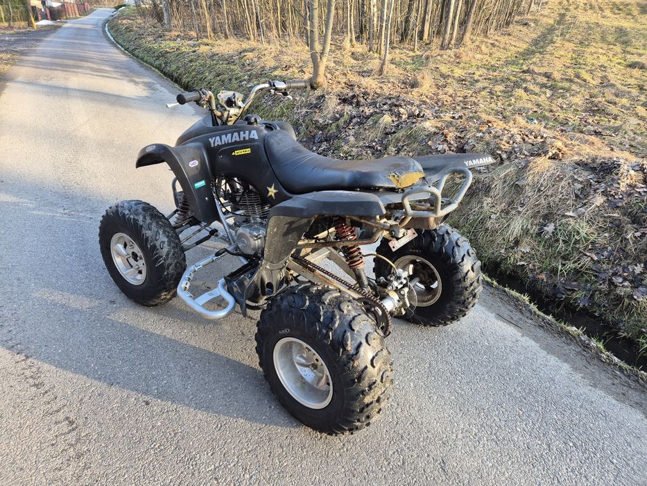 Quad schineray 250/300