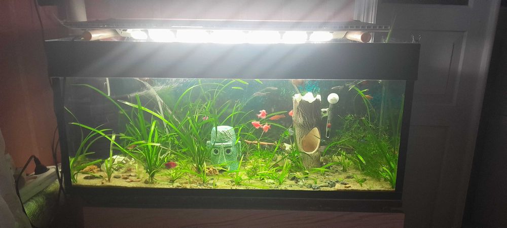 продам акваріум на 100л.