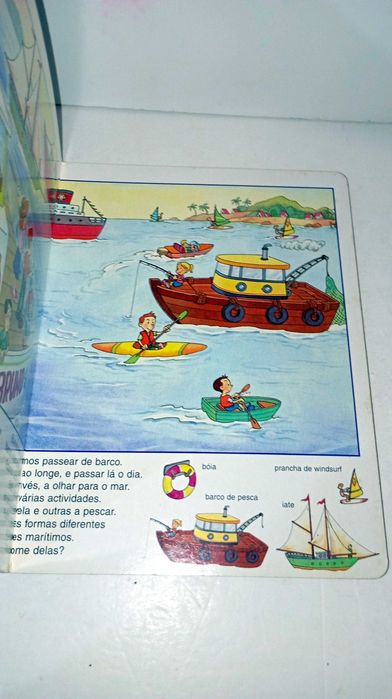 Mini Dicionário Ilustrado