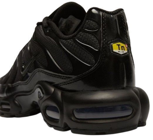 Nike Air Max Plus 41