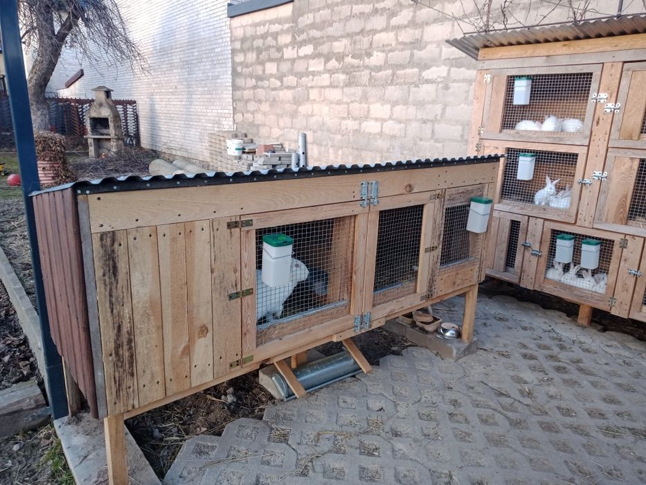 Klatki , klatka na króliki