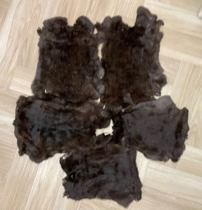 Skóra królik, skóry królicze, futro z królika, Skóry z królika