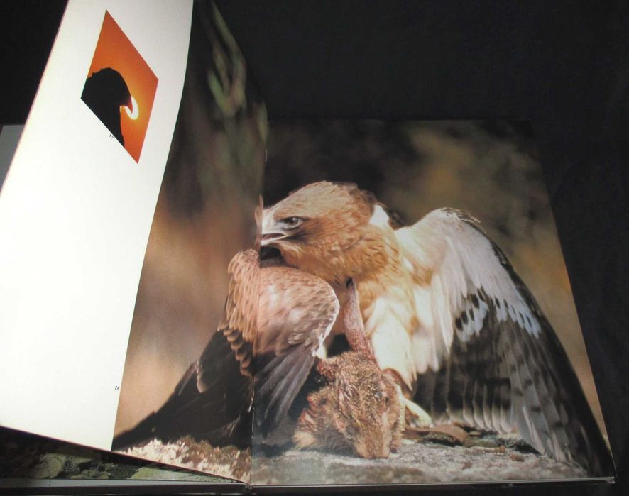 Livro Vida Selvagem de Portugal Wildlife Paulo de Oliveira Inapa