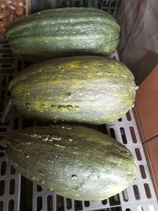 Abóbora e Bolina para venda