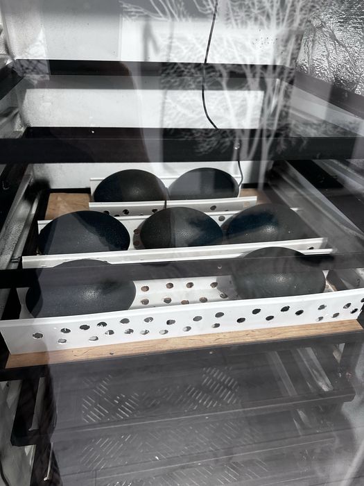 Продам автоматичний інкубатор