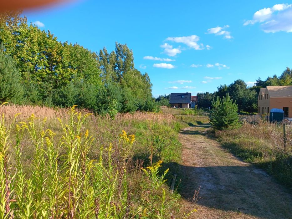 Działki 5 oraz 6 arów