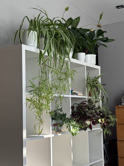 Regał biały IKEA – pojemny, stabilny, stan dobry