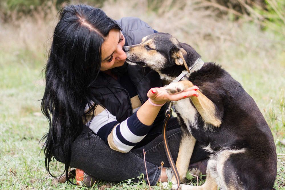 3 letni Miki szuka domu!