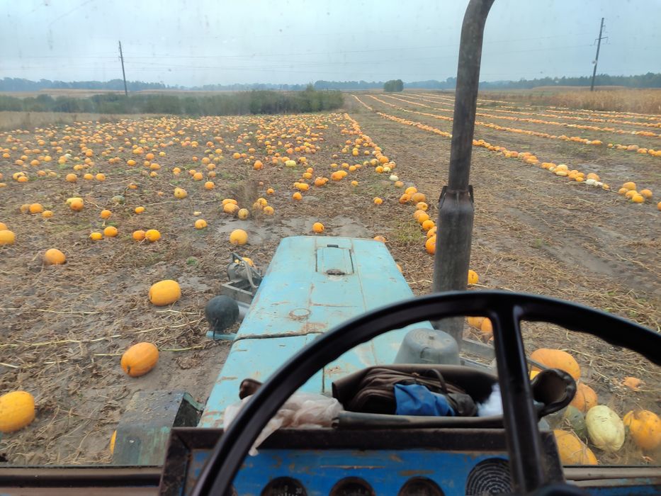 Згортач гарбузів (валкувач для гарбузів)