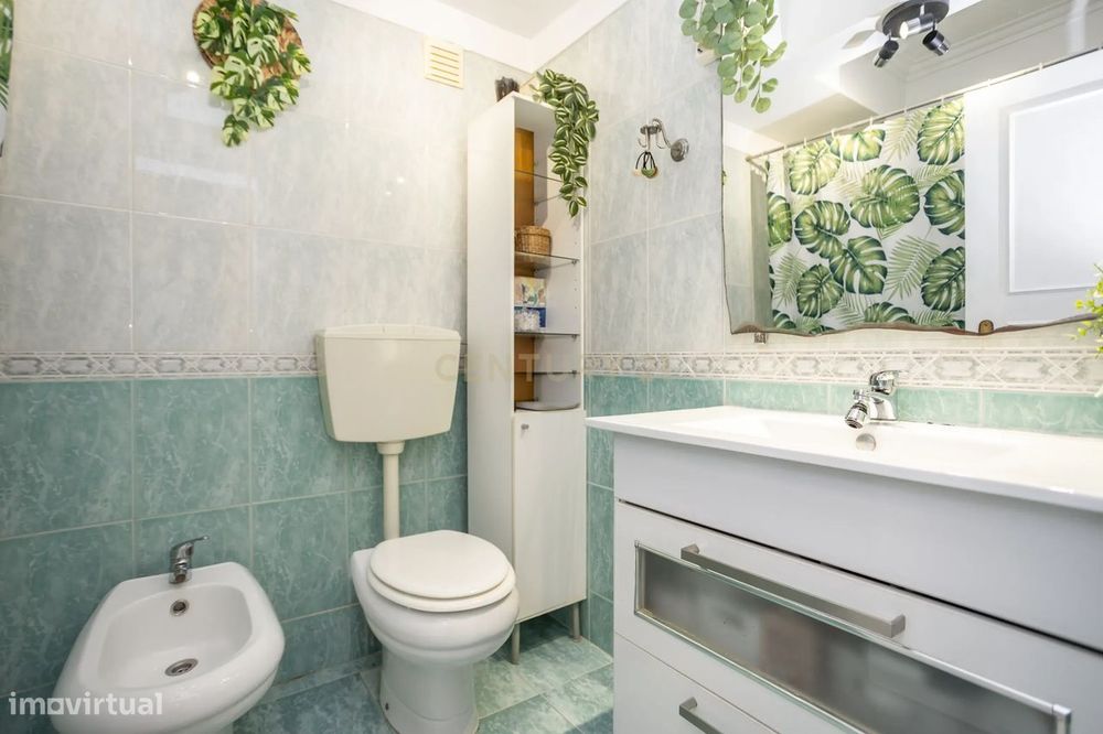 T2 em Belas