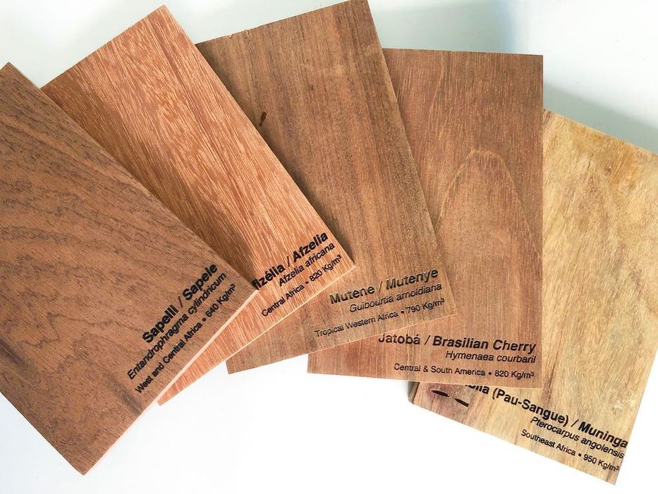 Amostras de madeira / Xiloteca