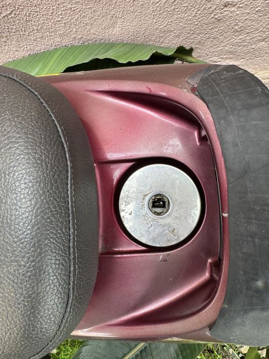 Mota Macal Thunder 50cc