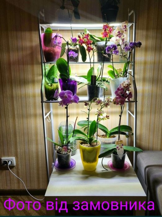 Фітолампа для рослин LED, для орхідей, фіалок, квітів і розсади
