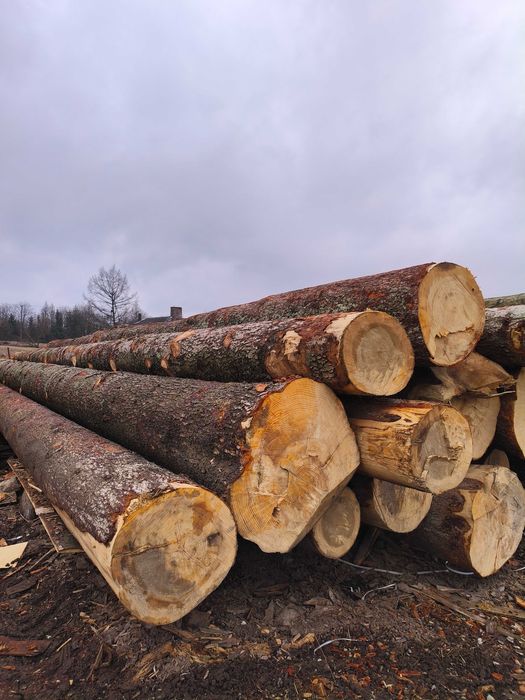 Drewno Tartaczne jodła kloc dłużyca