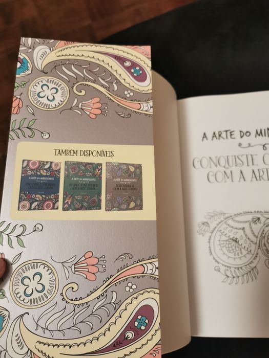 Vende-se livro - A arte do Mindfulness
