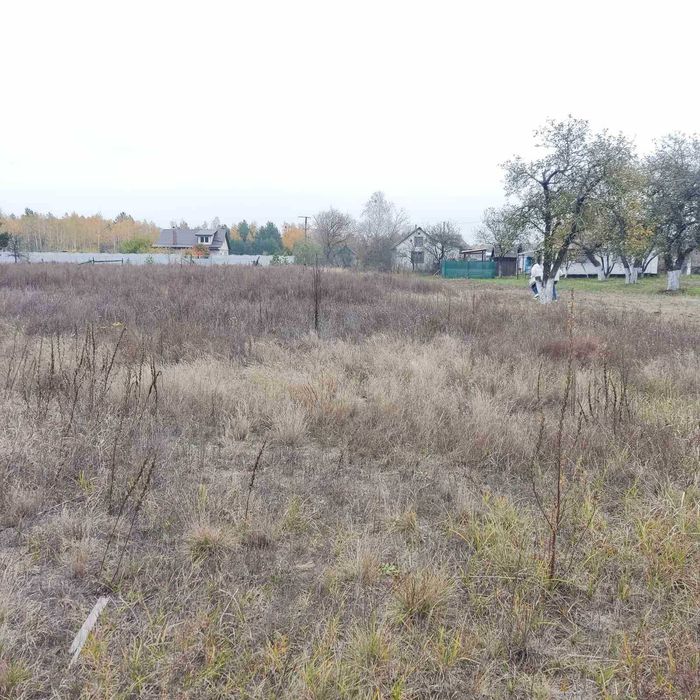 Продаж  ділянки 40 соток з хатою, с. Жукин,