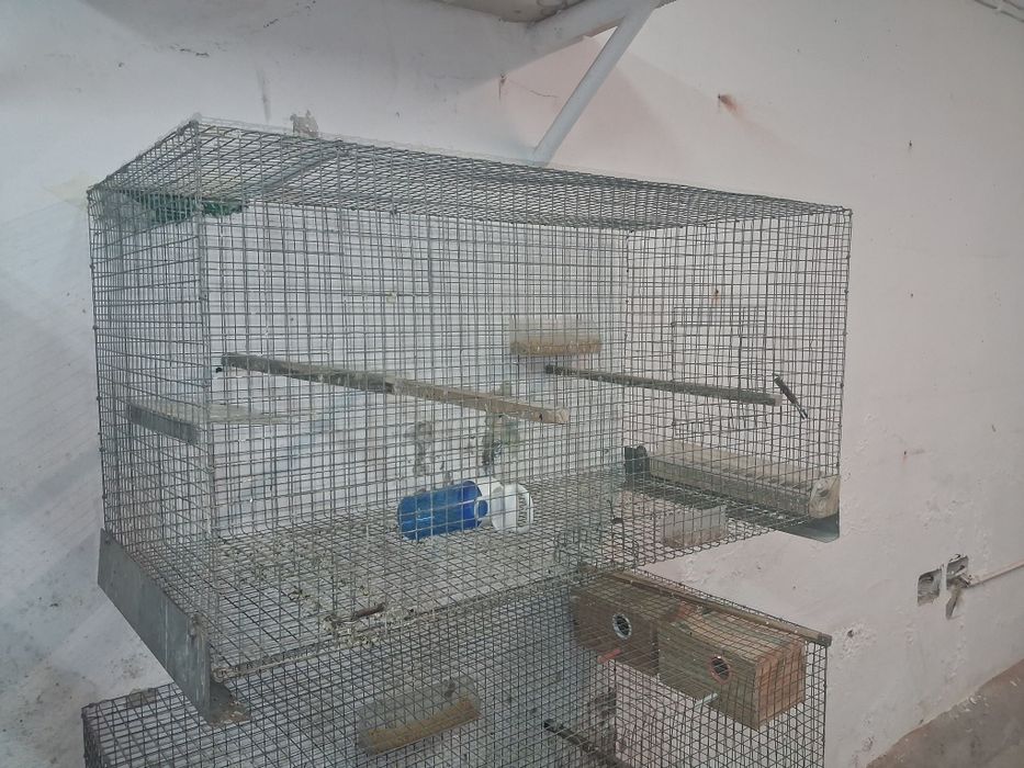 Vendo gaiolas bom preço