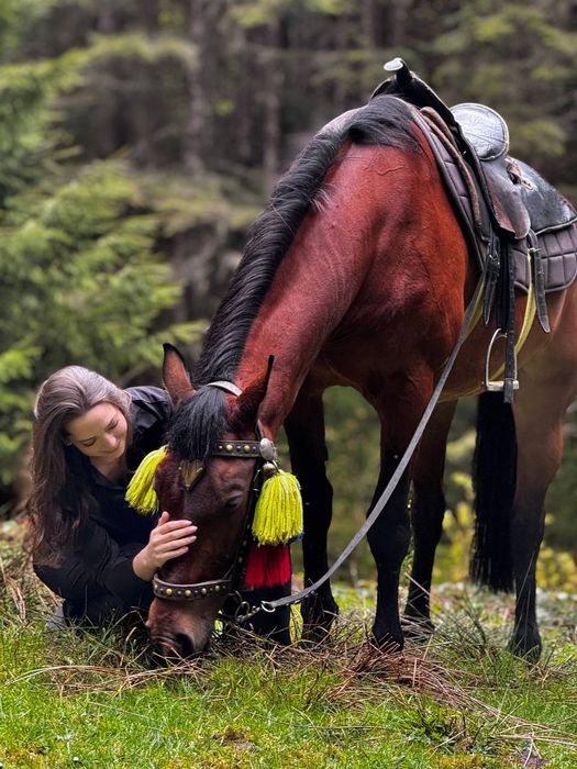 Кінні прогулянки Ворохта Буковель