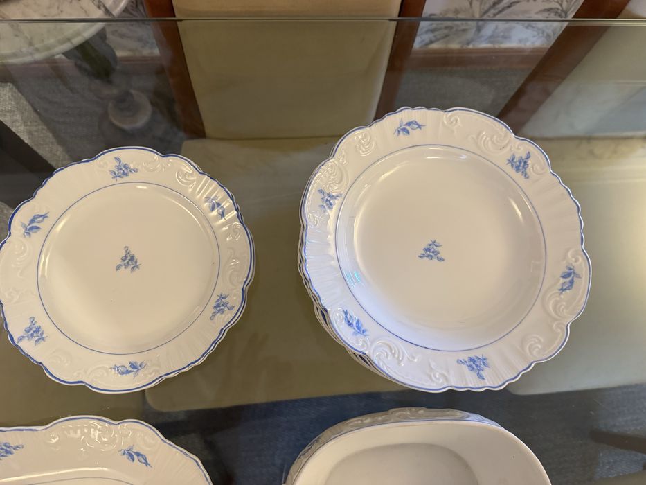 Conjunto loica Vista Alegre