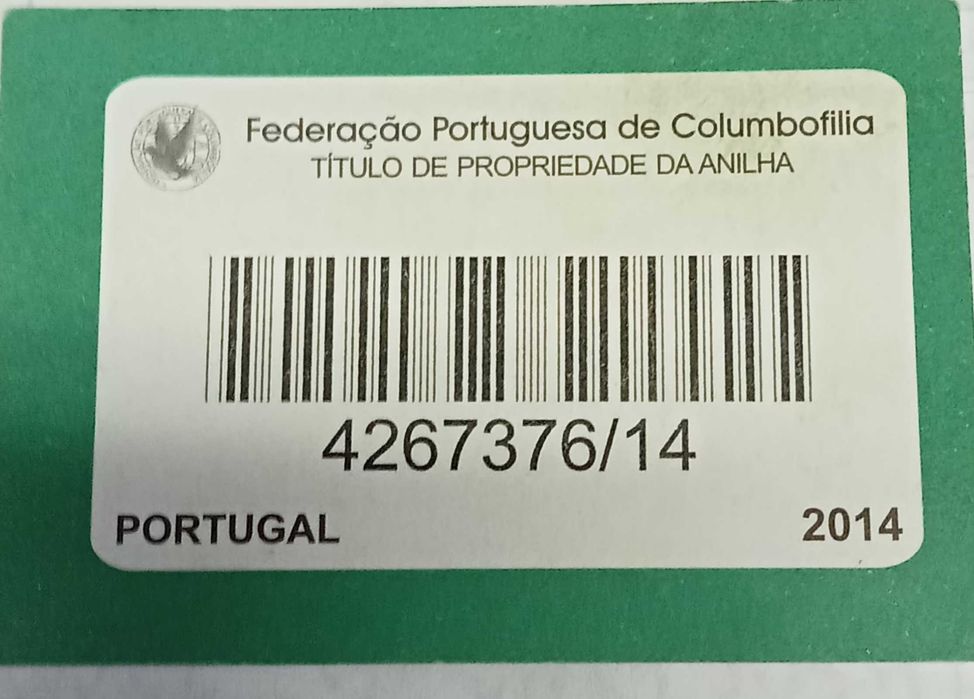 Linda pombo correio Silver Shadow...da Freiria