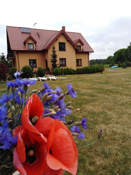 Noclegi pokoje agroturystyka okolice  Mikołajek