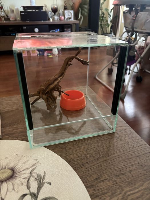 Terrarium, akwarium