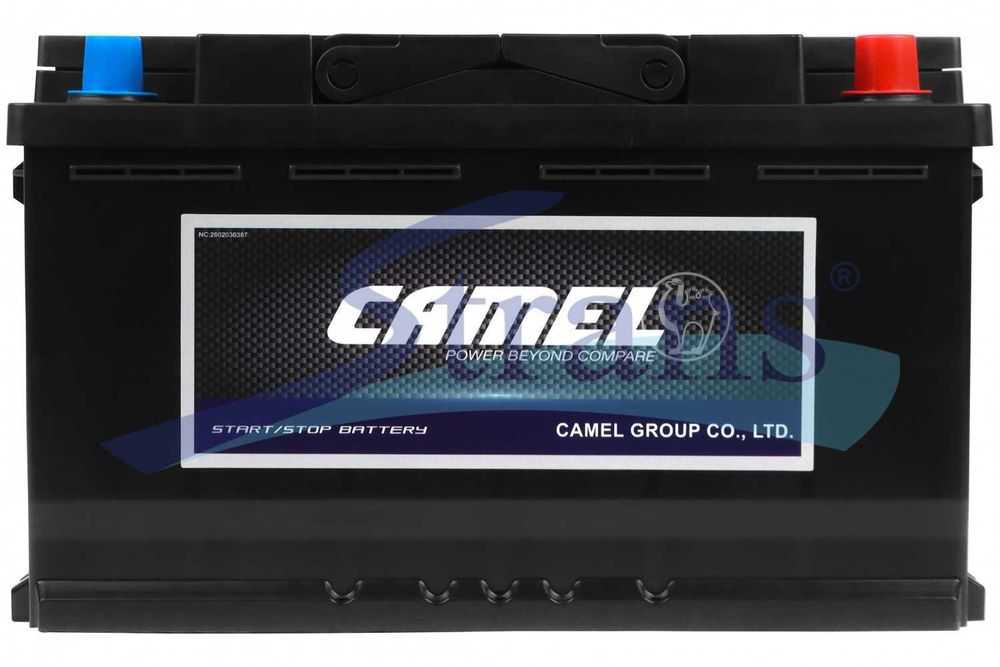 Акумулятор Camel Agm 12V 80Ah 800A R+ 315*175*190Mm Vrl480