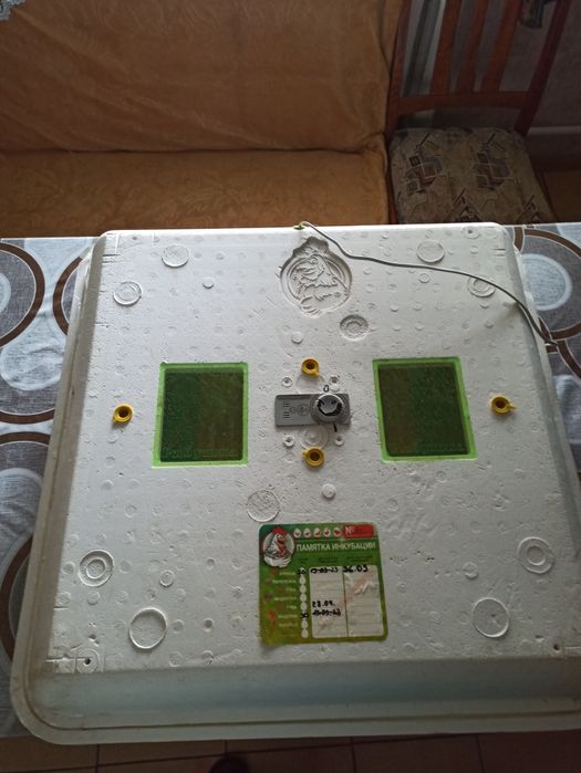 Інкубатор інфрачервоний разом з терморегулятором.