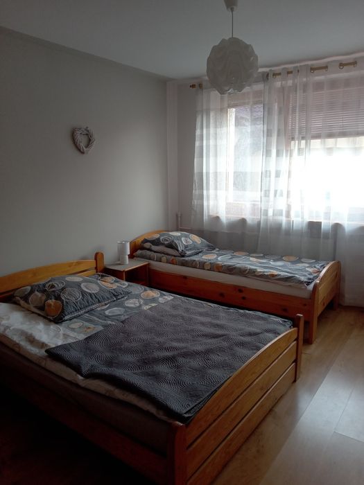 Apartament na wynajem