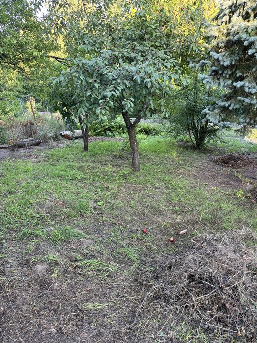 Sprzedam urokliwą działkę ROD na Wzgórzu – Gdańsk Morena (312 m²) | Domek, prąd, drzewa owocowe