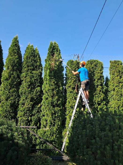 Usługi ogrodnicze CEDR
