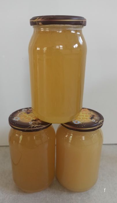 Naturalny  Polski miód zbiór 2025