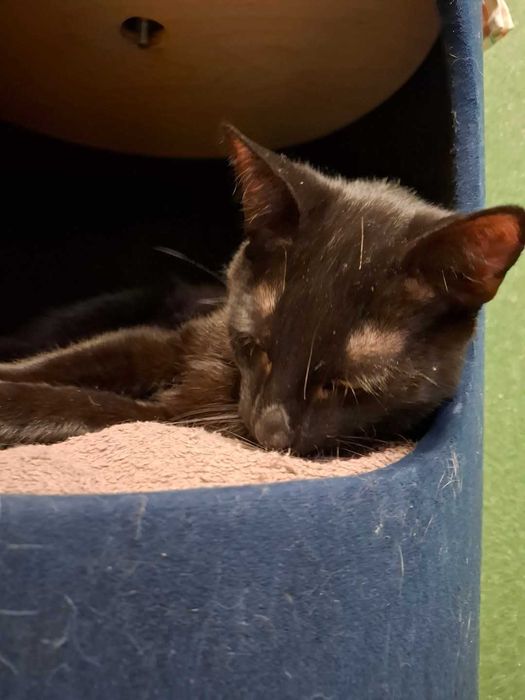 Bergamo-gdy całe życie spędziłeś za schroniskową kratą