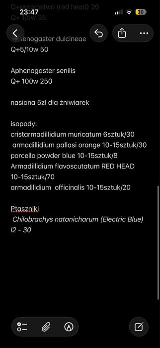 mrówki/isopody/ptaszniki