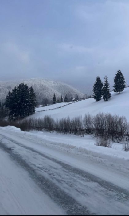 ,,Карпатський Будиночок,,