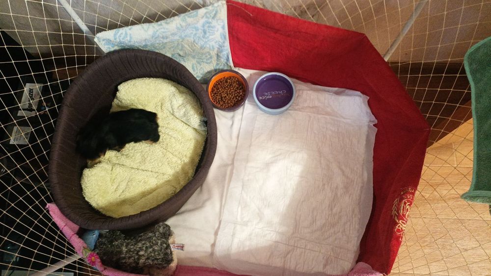 Мега классные детки