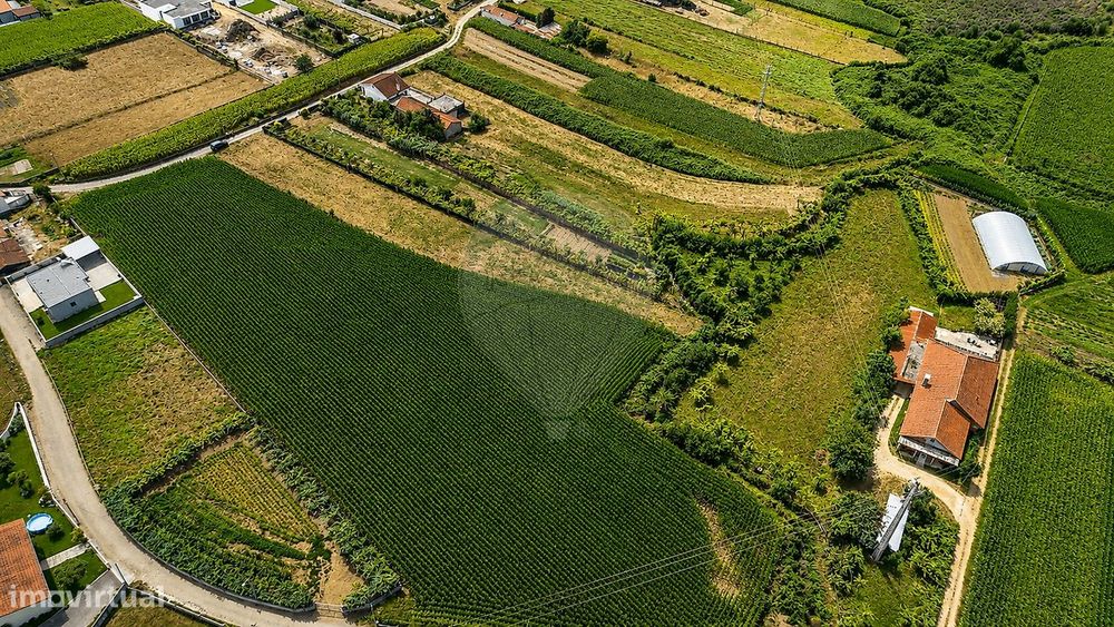 Terreno  para venda