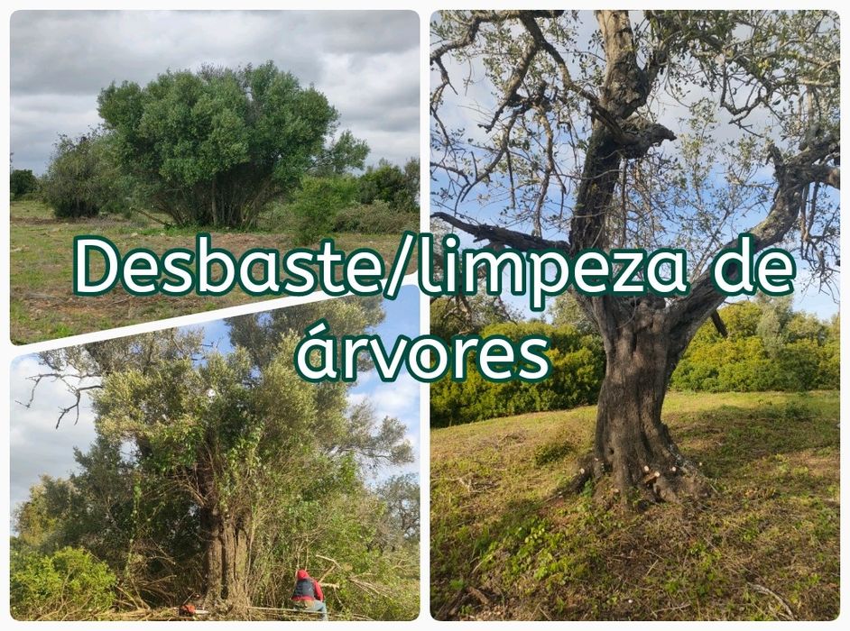 Serviço de roçadora, limpeza de terrenos, entre outros